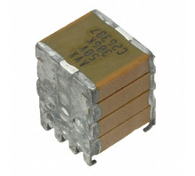 RM045C156KAJ240